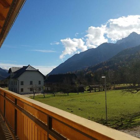 Sun And Spa Apartment Kranjska Gora Eksteriør bilde